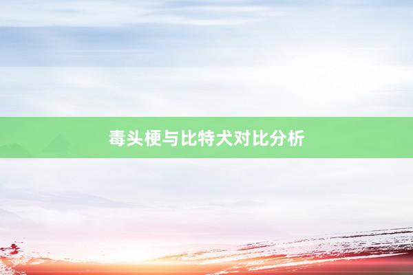 毒头梗与比特犬对比分析